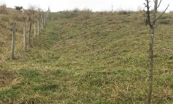 Imagem 7: Excelentes terrenos em floriano rj