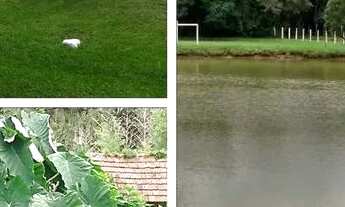 Imagem 3: CHÁCARA com 9 dormitórios à venda com 22941.2m² por R$ 870.000,00 no bairro Bom Retiro - B