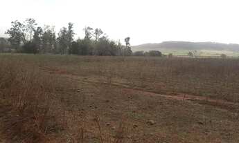 Imagem 5: Fazenda com 6 dormitórios à venda, 3291200 m² por RS 35.000.000 - Área Rural de Dourado