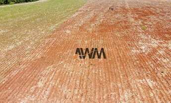 Imagem 5: Fazenda à venda, 7018000 m² por R$ 30.000.000,00 - Centro - Divinópolis do Tocantins/TO