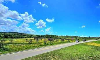 Imagem: Área com 56.000 m² às margens da BR 101