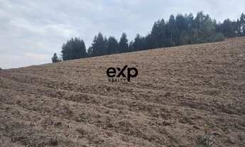 Imagem: Chácara à Venda em Agudos do Sul - PR