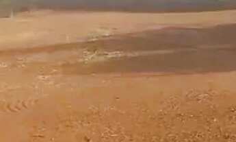 Imagem 2: Situio em cmpo florido 18 alqueirão 4.320.000.00 ( ja