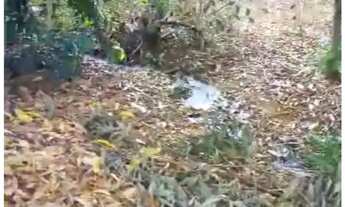 Imagem 4: Vendo terreno no Paranoá