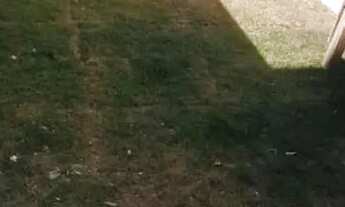 Imagem 6: Casa 2 Quartos 1 com Varanda e 2 banheiros à Venda, São João Batista - por R$ 429.000,00