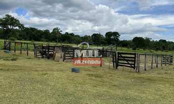 Imagem 7: Fazenda 56,6 alqueires ( 274 hectares) Jussara - GO