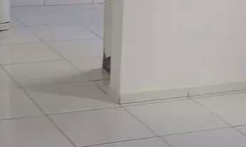 Imagem 6: ALUGA CASA Casa com 3 dormitórios