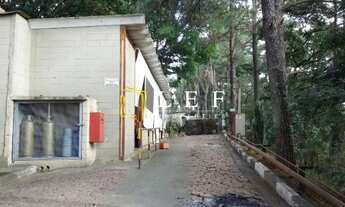 Imagem 8: Estrada dos Romeiros - BARUERI