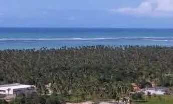 Imagem: Lote à venda em rua pública, BARRA GRANDE