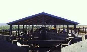 Imagem 5: Fazenda à venda 7546ha com pista de pouso - Nobres - MT