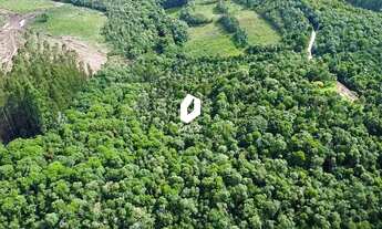 Imagem 2: Terreno Rural com 28.000 m² a 15 Min do Centro de Colombo Oportunidade Única