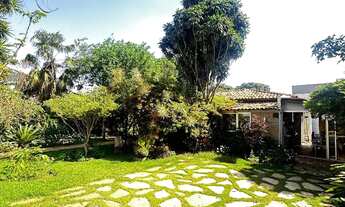 Imagem: GALINHA MORTA (PREÇO ABAIXO DO MERCADO)