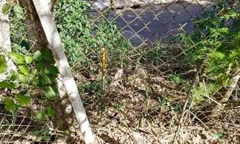 Imagem 5: AREA - JARDIM SANTO ANTÔNIO - SP