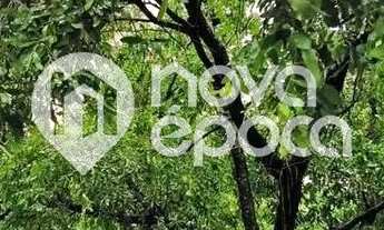 Imagem 7: Tijuca Apartamento com 3 dormitórios