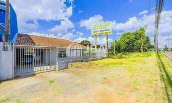 Imagem 5: CASA TÉRREA FRENTE DE RUA C/ EDICULA NO CAPÃO RASO