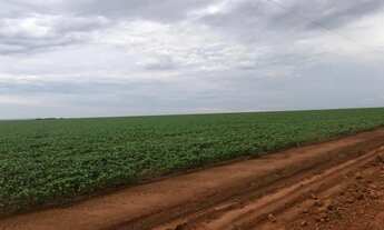 Imagem: Fazenda 3.364hec em Lucas do rio verde