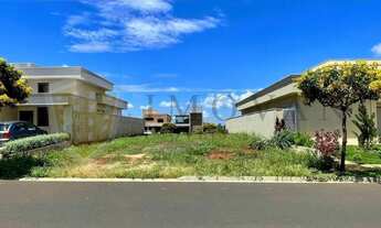 Imagem 2: Terreno Padrão em Ribeirão Preto