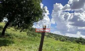 Imagem: Fazenda 36 Alqueires (174,24 Hectares) Catalao