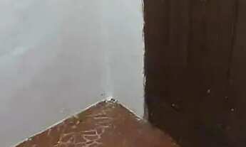 Imagem 5: OPORTUNIDADE - CASA SATELITE