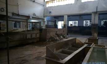 Imagem 6: COMERCIAL - CAMPESTRE - SP