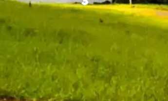 Imagem: 86A- LOTES EM ATIBAIA PARA MORAR COM CONFORTO