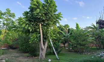 Imagem 3: Casa à venda Casa com 5 dormitórios