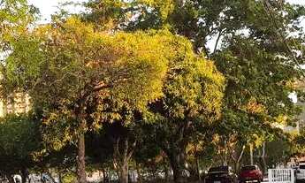 Imagem 2: Casa conj: ponta negra