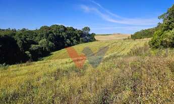 Imagem 4: Chácara 7 Alqueires em Campo Magro Ideal para Plantio e Lazer