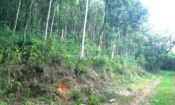 Imagem 3: SÍTIO Chácara com venda por R$150.000