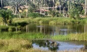Imagem 2: Fazenda na região do Eixo Forte - Santarém PA