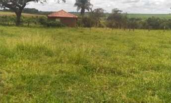 Imagem 2: Fazenda em frutal 98 alqueirão 34.300.000.00 ( jam