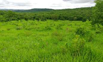 Imagem 7: Chácara em mairipotaba a 80 km de Goiânia com corrego energia chacaras 20.000 metros