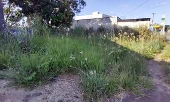 Imagem 9: Lote 600 m2 Av Rio Verde Aparecida de Goiânia Goiás