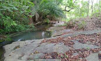Imagem 2: Chácara em mairipotaba a 80 km de Goiânia com corrego energia chacaras 20.000 metros