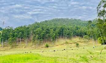 Imagem 3: Fazenda para venda com 96 alqueire porteira fechada com 138 bois