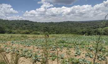 Imagem 2: Lote/Terreno para venda tem 1000 metros quadrados em Jardim Alvorada - Jandira - SP