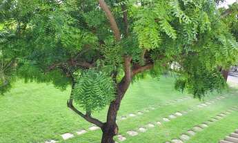 Imagem 7: Casa para locação em condomínio alto padrão 4/4 sendo 3 suítes, closet, dependência comple