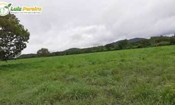 Imagem 2: Fazenda Á VENDA EM CENTENÁRIO - TO - 363 HECTARES (PECUÁRIA
