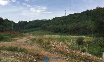 Imagem 5: Oportunidade terreno com frente para RS122