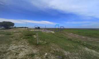 Imagem 4: Fazenda em Est. da Caieira - Mostardas