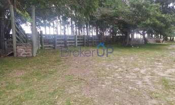 Imagem 2: Fazenda em Est. da Caieira - Mostardas