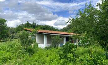 Imagem 6: Sitio 12.000m² com muita água, a 4km do centro de Baldim