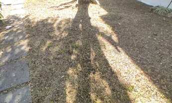 Imagem 5: Casa para alugar na melhor rua da região ( 10 minutos a pé do Metrô Jabaquara