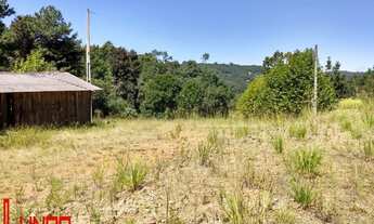 Imagem 7: Terreno Industrial com 3 Dormitorio(s) localizado(a) no bairro . em Flores da Cunha / Re