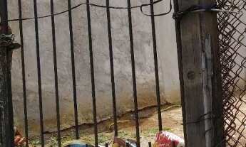 Imagem: Terreno plano 250m² (Coqueiro