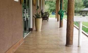 Imagem 3: 3 hectares com represa pra hum milhao de tilapias