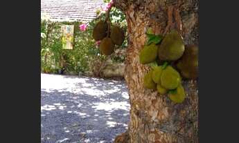 Imagem 3: Apartamento para venda com 110 metros quadrados com 3 quartos em Boa Vista - Recife - PE