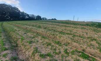 Imagem 2: AREA VERDE Terreno / lote com venda por R$35.000