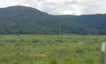 Imagem 4: Fazenda buritis MG proximo a cidade escriturada formada muita água