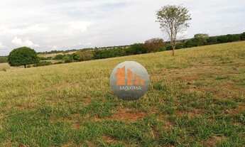 Imagem 4: Fazenda com 2 dormitórios à venda, 5662800 m² por R$ 24.000.000,00 - Zona Rural - Araguapa